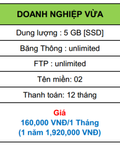 hosting doanh nghiệp vừa