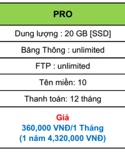 hosting pro