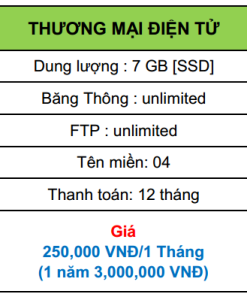 hosting thương mại điện tử