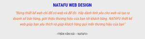 Thiết kế web thương hiệu Bình Dương Natafu