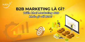B2B marketing là gì?