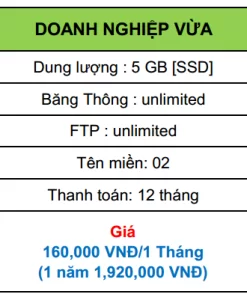 hosting doanh nghiệp vừa