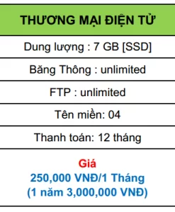 hosting thương mại điện tử